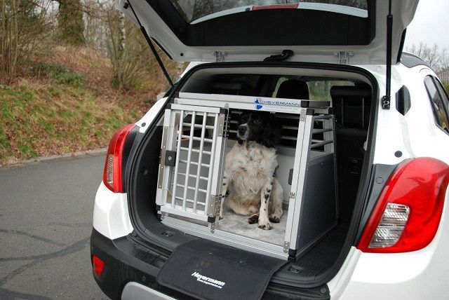 Hundebox Einzelbox Fur Opel Mokka Sonderbau 265 Hundebox Transpo 599 00